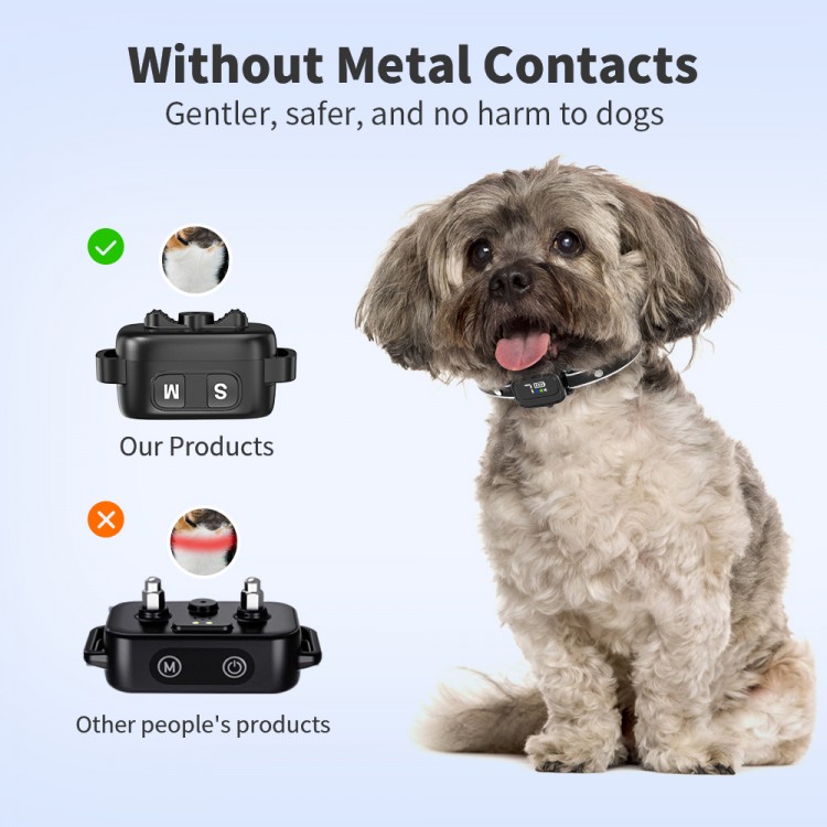 Dogs Collar Dogs Collar