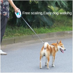 Dog Nylon Leash