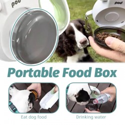 Multifunction Leash