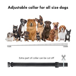Top Quality Dog Collar With Vibration Discount Offer No Shock No Bark Device