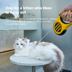 Retractable Leash