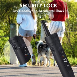 Custom Dog Training Collar