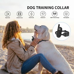 Dog Training Collar