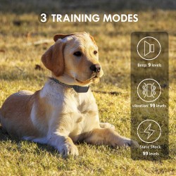 Remote Dog Training Collar Global Supply Chain Rechargeable Dogs Bark Collar