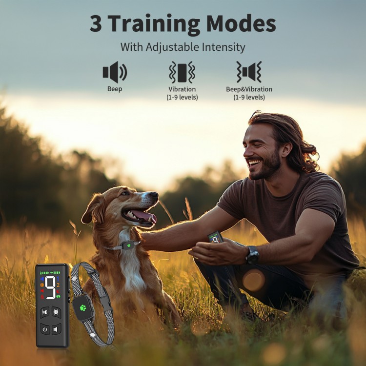 Remote Control Collar