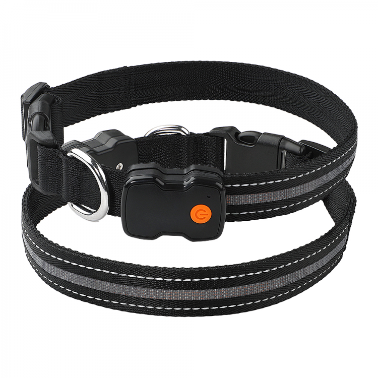 Custom Harmless Dog Collar Usb Chargeable Custom Harmless Dog Collar Usb Chargeable