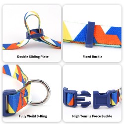 Training Collar