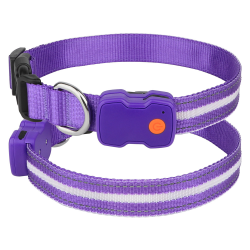 Luminous LED Dog Collar