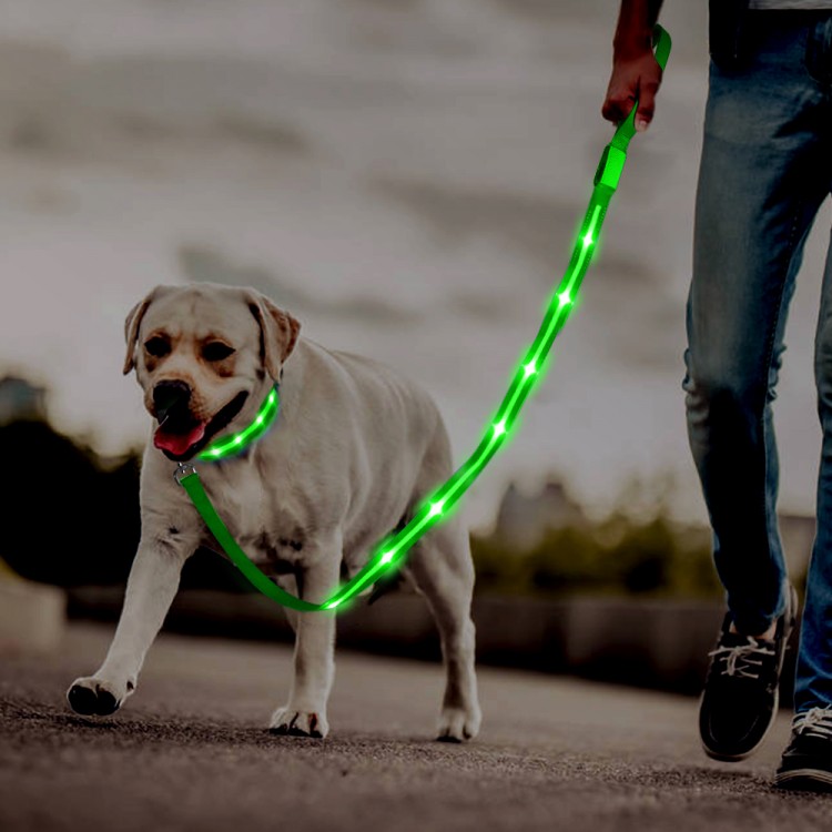 Safety Flashing Leash Safety Flashing Leash