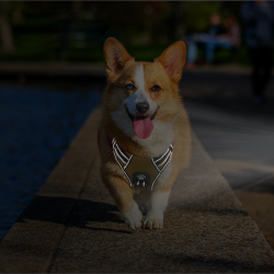 Nylon Dog Harness best Seller Adjustable Reflective Nylon Padded Dog Harness