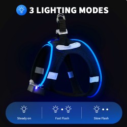 Dog Harness