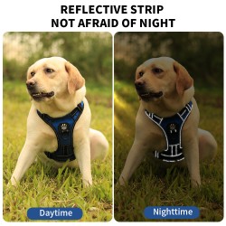 Adjustable Nylon Dog Harness Reversible Dog Harness Set Luxury Design Custom Dog Harness