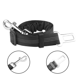 Dog Leash