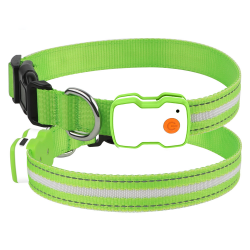 Custom Dog LED Collar and Rechargeable Dog Collar
