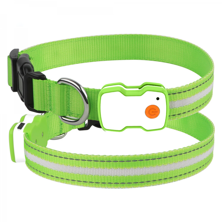 Custom Dog LED Collar and Rechargeable Dog Collar Custom Dog LED Collar and Rechargeable Dog Collar