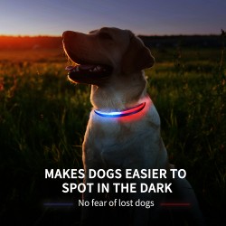 Adjustable Safety Pet Collar Night Safety Brand New Original Waterproof Led Dog Collar