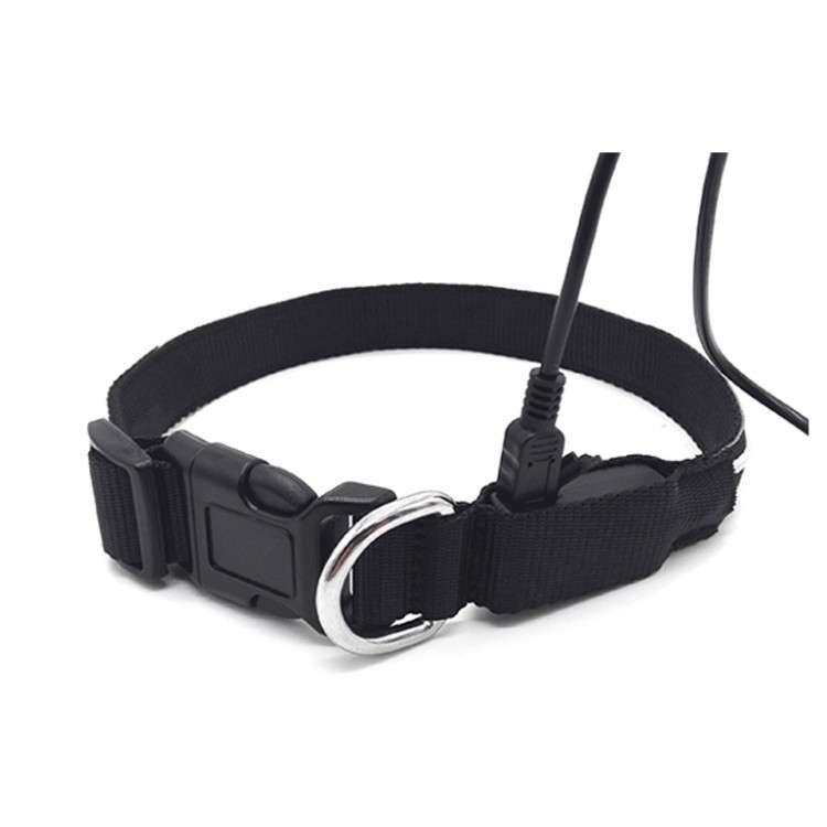 Dog Collar Dog Collar