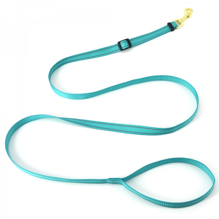 Training Dog Leash Training Dog Leash