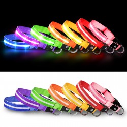 Fluorescent LED Dog Collar