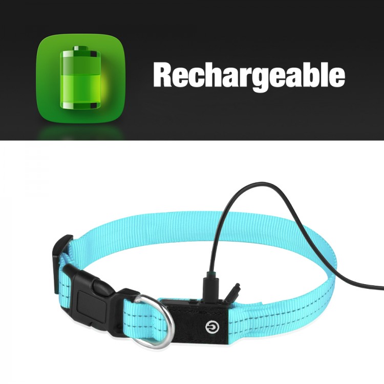 Dog Collar Dog Collar