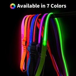 LED Dog Leash
