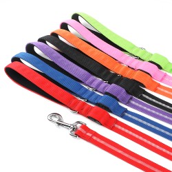 Dog Leash