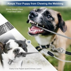 Nylon Leash