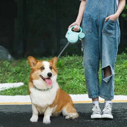 Dog Retractable Leash