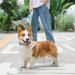 Retractable Leash