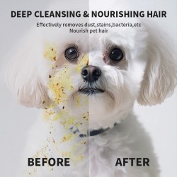 Hot Selling Pet Gloves Pet Products Pet Wipes for Cat and Dog