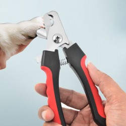Factory-Wholesale Pet Nail Scissors Set Large Small Stainless Steel Dog & Cat Clippers