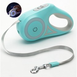 Custom Dog LED Leash