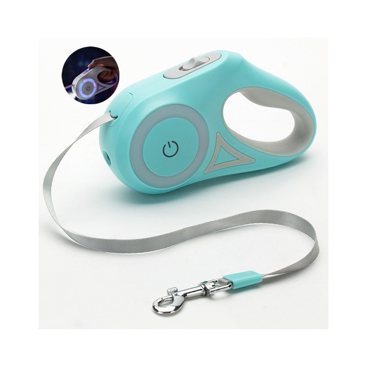Custom Dog LED Leash Custom Dog LED Leash