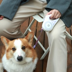Custom Dog LED Leash Automatic Flash Light Large Retractable Pet Dog Outdoor Leash Lead