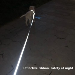 Wholesale Pet Collar Leashes Automatic Retractable Dog Leash Puppy Walking Running Lead