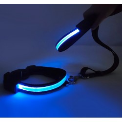 Wholesale LED Dog Collar Pet Products for Night Safety