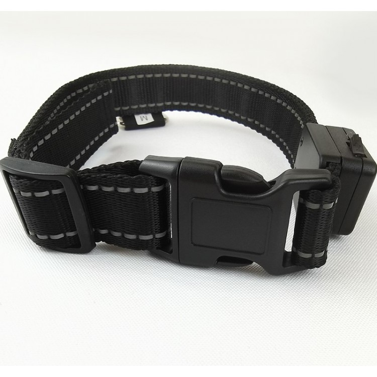Pet Products for Night Safety Pet Products for Night Safety