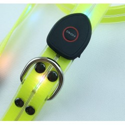 Waterproof LED Collar for Dog Global Supply Chain USB Rechargeable LED Collar