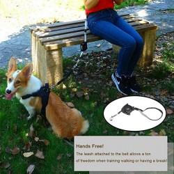 Dog Nylon Leash