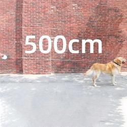 Dog Automatic Leash