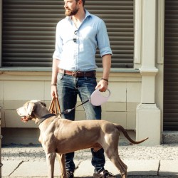 Custom Dog Automatic Leash Pet Walking Training Rope for Small Medium Dogs Loss Prevention Leashes Strap Belt