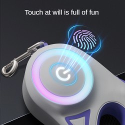 LED Leash