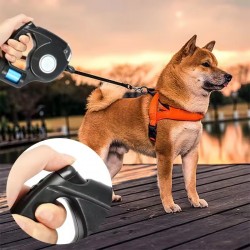 Nylon Leash