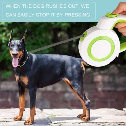 Traction Leash