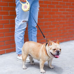 Automatic Traction Leash