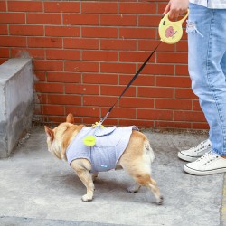 Traction Leash
