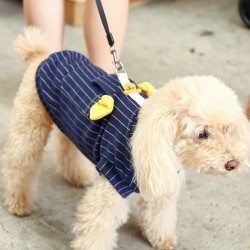 Dog Automatic Traction Leash 5M Cartoon Strong Soft Handle for Dog Poodle Training Running