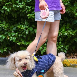 Dog Automatic Traction Leash 5M Cartoon Strong Soft Handle for Dog Poodle Training Running