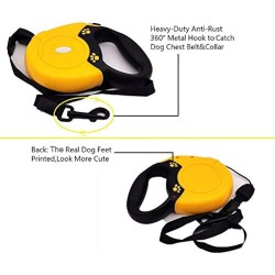 Automatic Leash