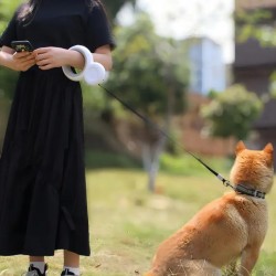 Nylon Leash